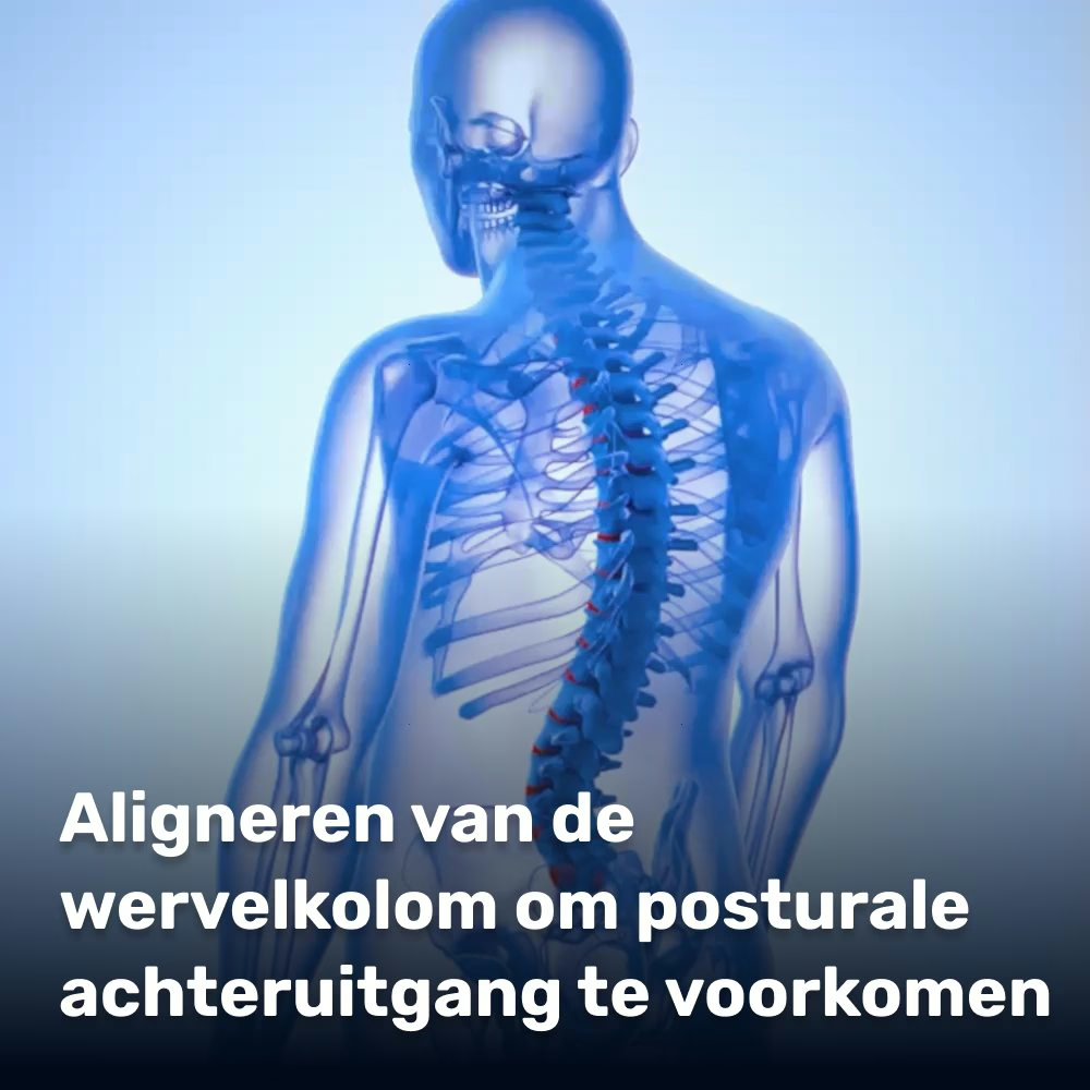 Vortalex Posture Corrector Image